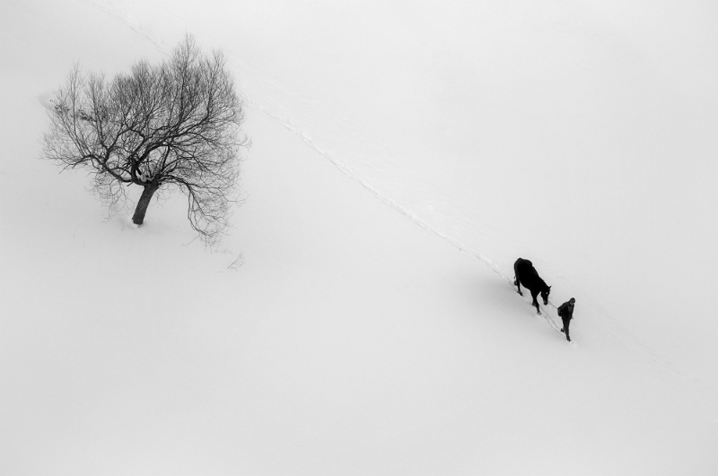 Cornel Florian Pufan - Pas in doi.jpg